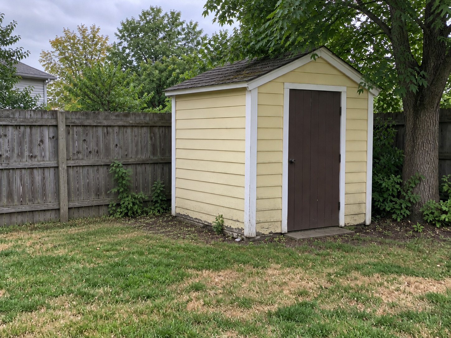Shed-side lawn after yard-waste bags and branches have been removed.