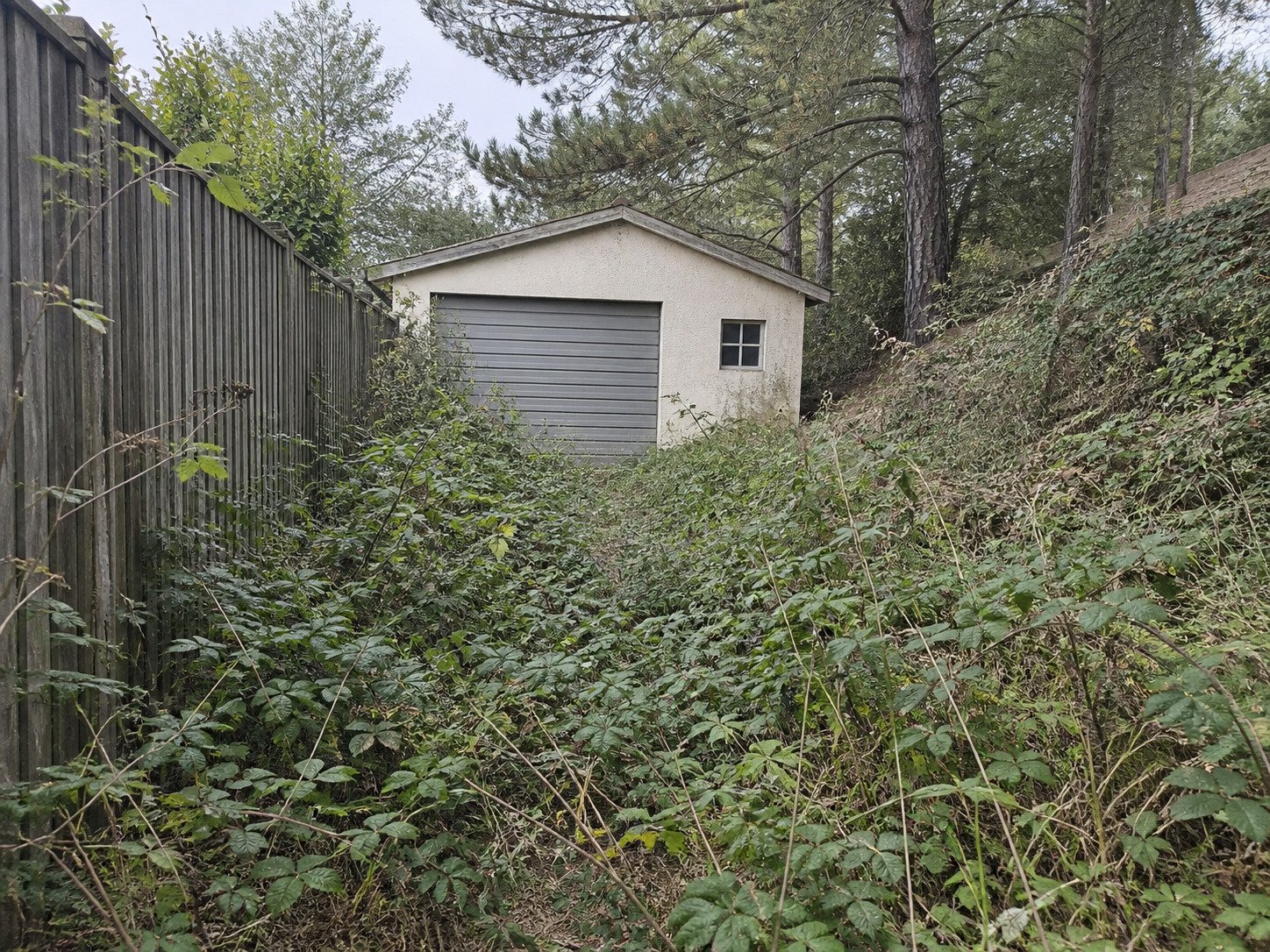 Bramble and weeds obstructing access to a cream garage before brush removal.