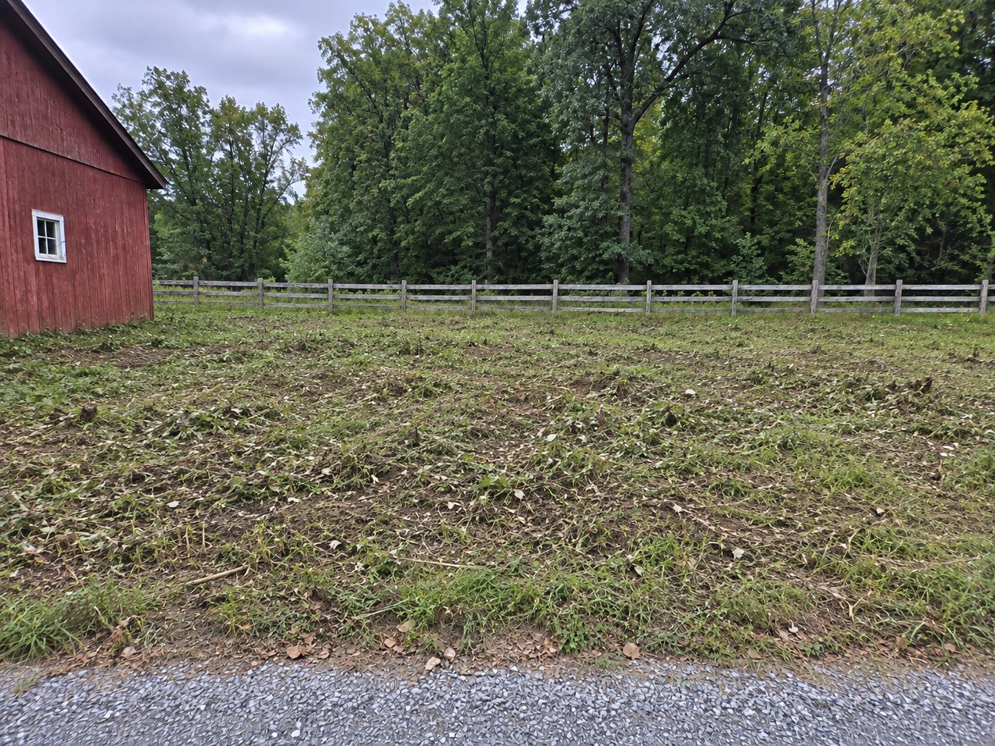 Rural lot after brush and volunteer saplings were removed, retaining the mature woodland and fence.
