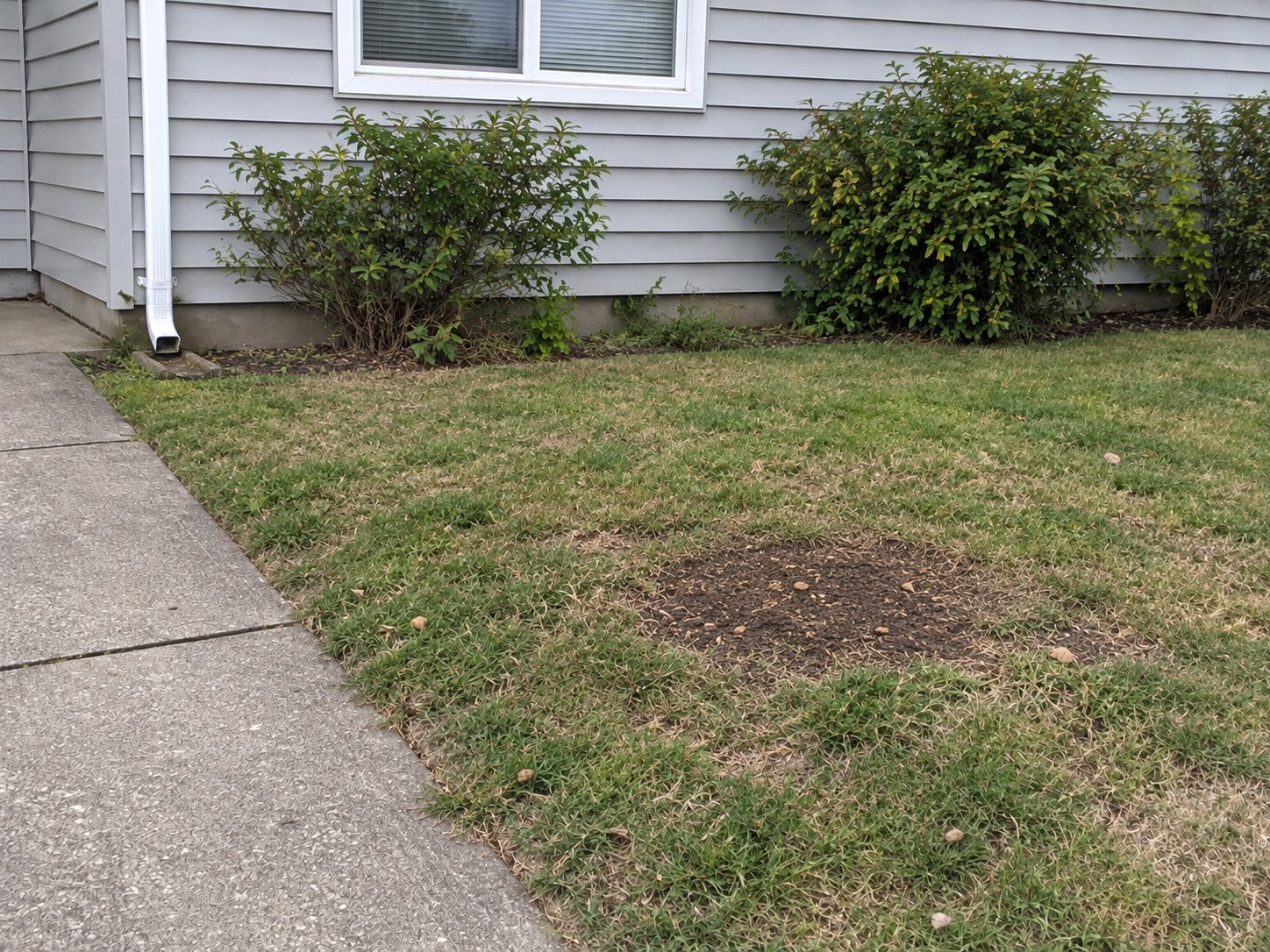 The same side yard after stump grinding, leaving a level soil-and-fine-chip patch.
