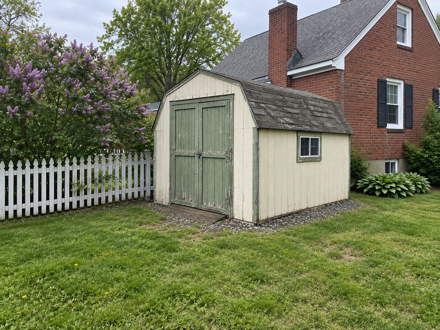 Aging cream gambrel-roof garden shed with plain green board doors before replacement.