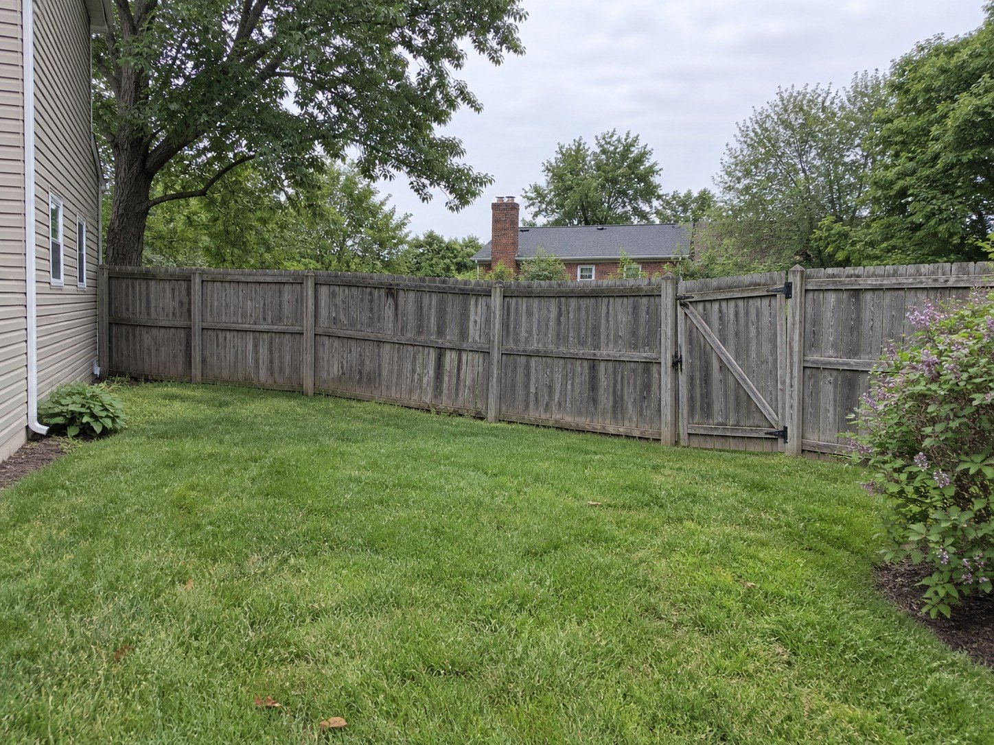 Weathered vertical-board fence and sagging gate before a custom redesign.