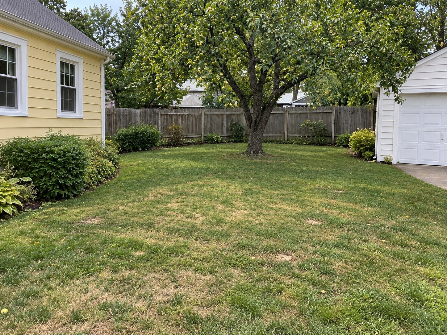 Open patchy lawn after the inner chain-link enclosure was removed, with the perimeter fence retained.