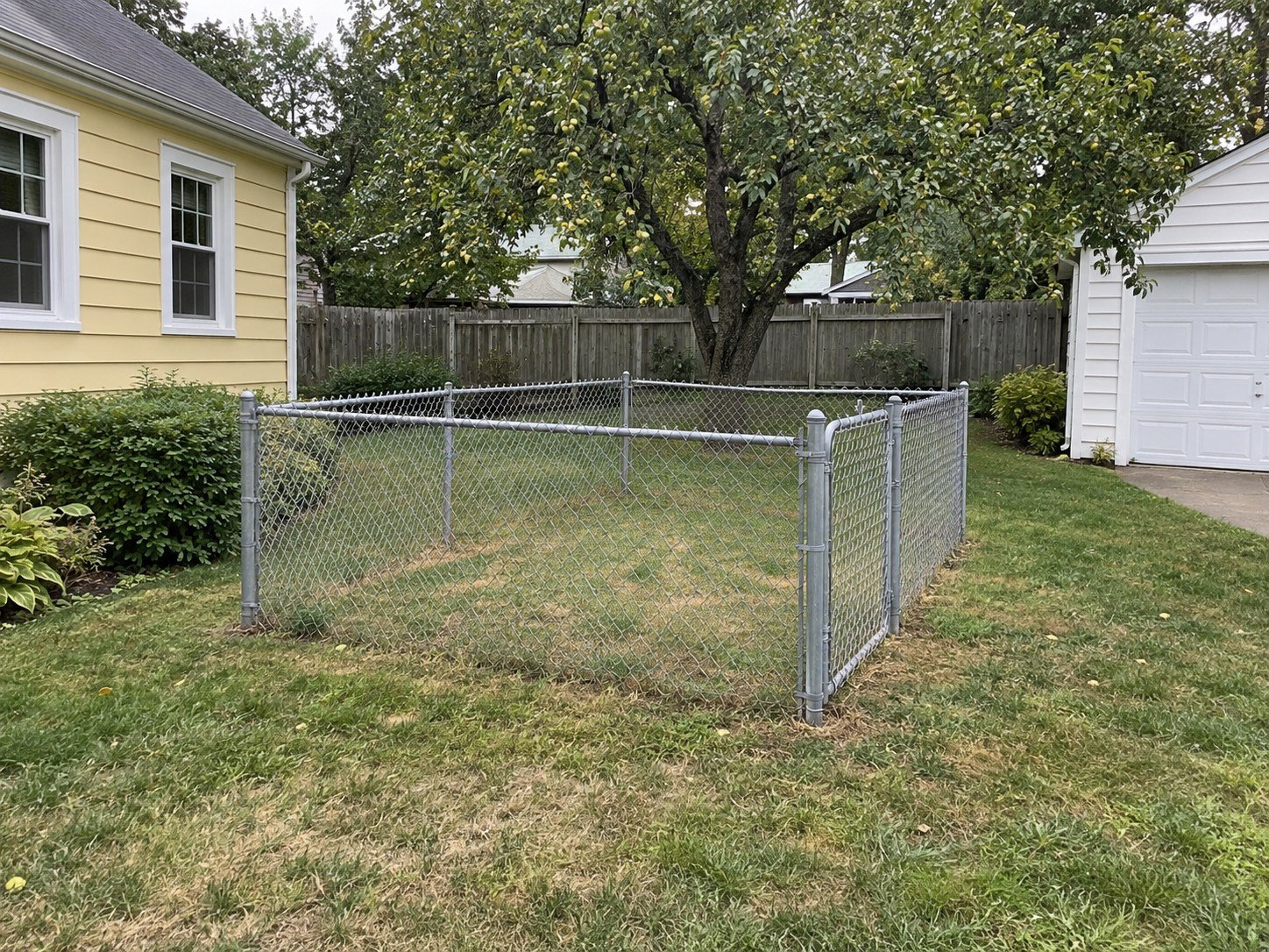 Unused chain-link garden enclosure inside a fenced yard before removal.