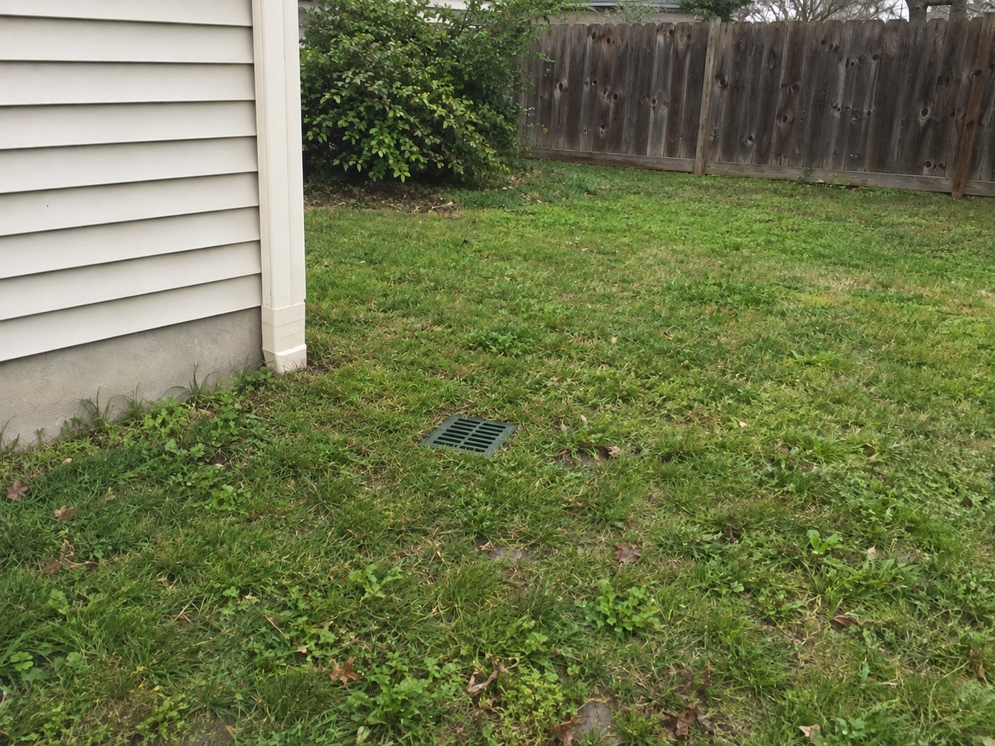 Side yard with a closed downspout ground connection, one flush green inlet grate and localized turf restoration.