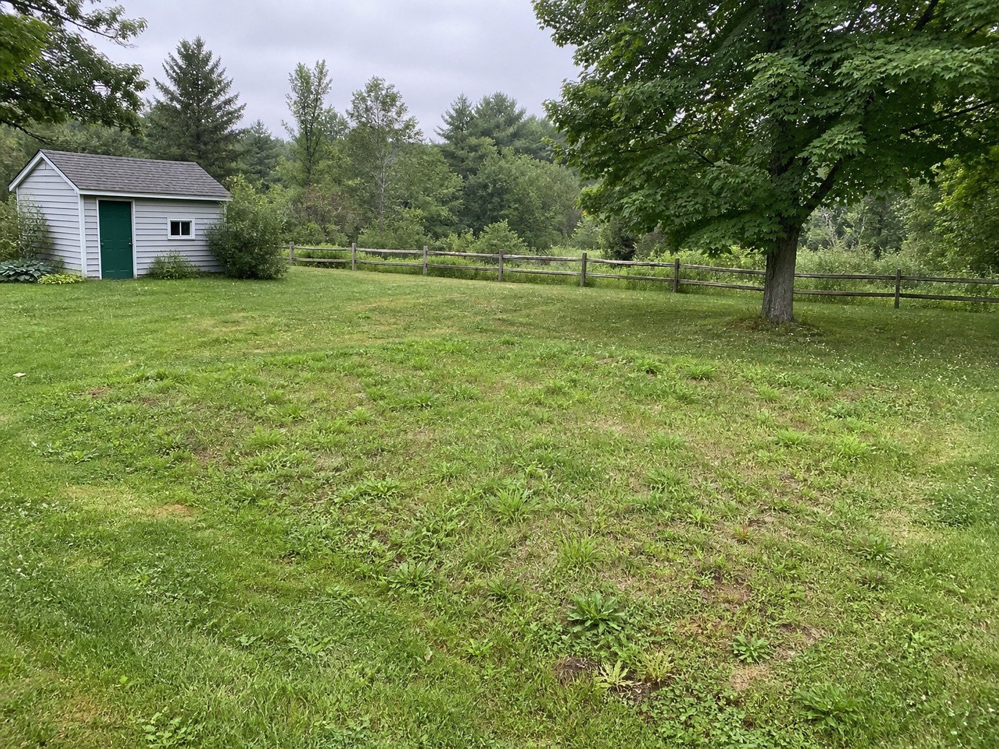 Uneven grassy open area in front of an existing shed and boundary fence.
