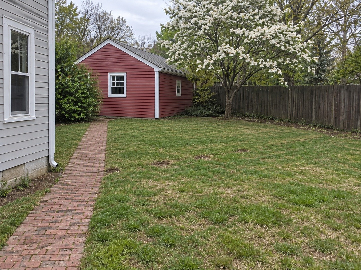The same backyard after interior fence removal, with the perimeter fence and old brick walk retained.