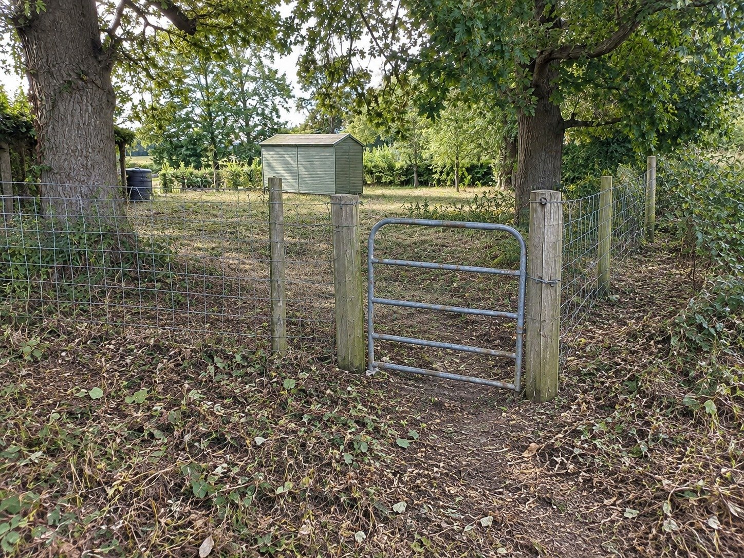 The same fence and gate after brush removal restores the existing access path.