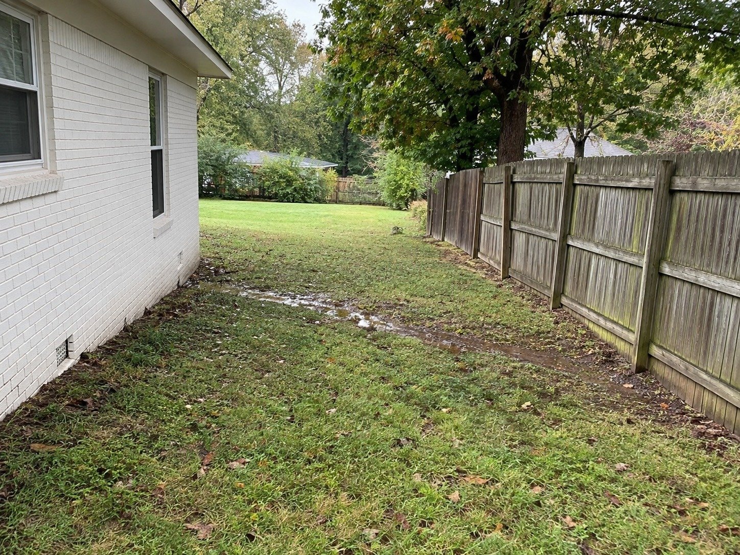 Wet low strip in a residential side yard before drainage grading.