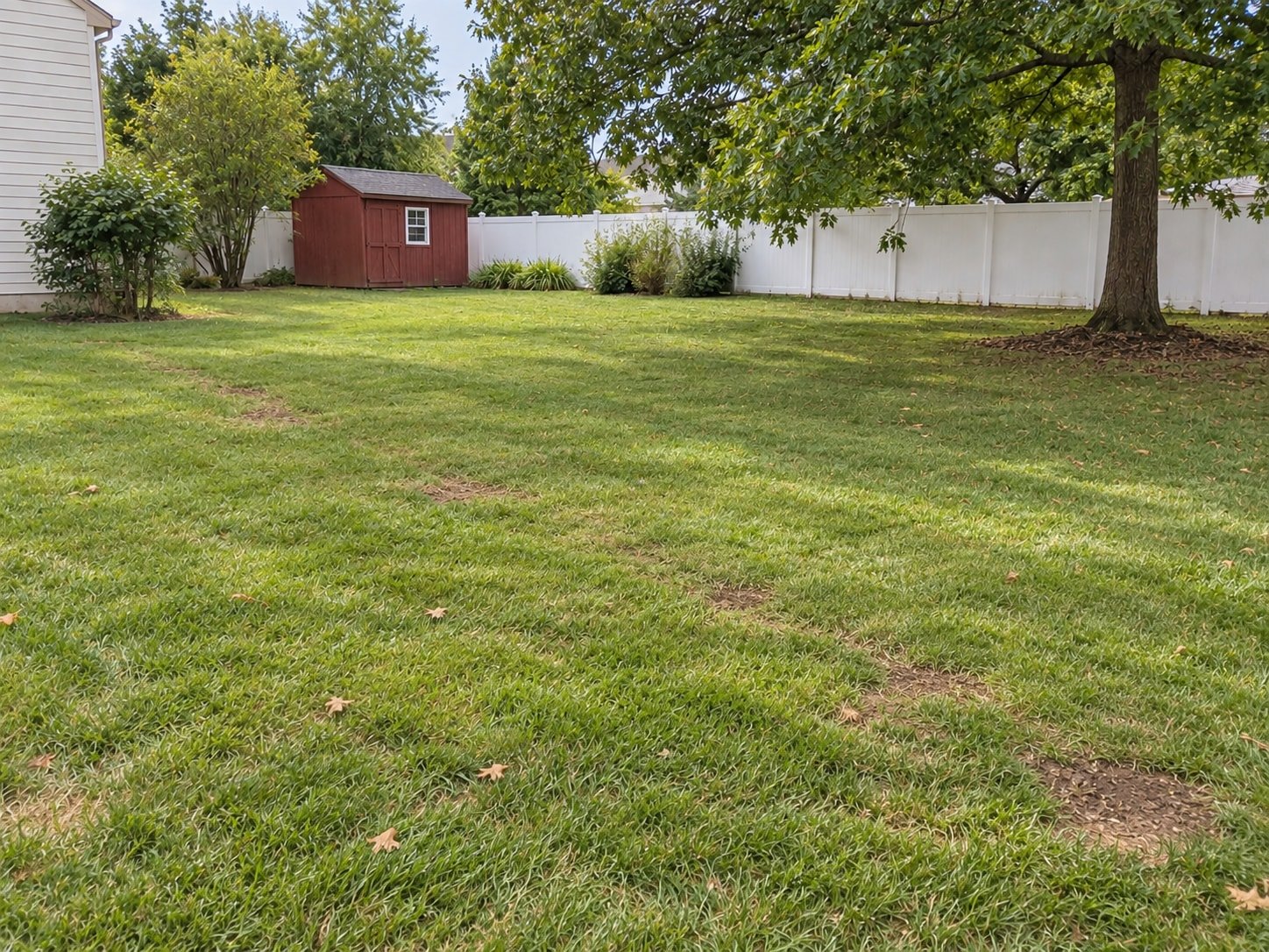 Open backyard after internal wood fence removal, with former post holes filled and perimeter fence retained.