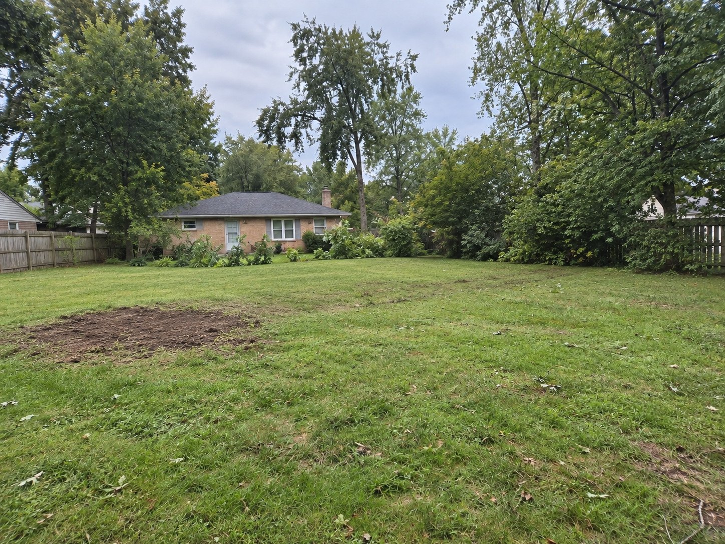 The same backyard after the fallen oak was removed, with the root area backfilled and modest lawn disturbance.