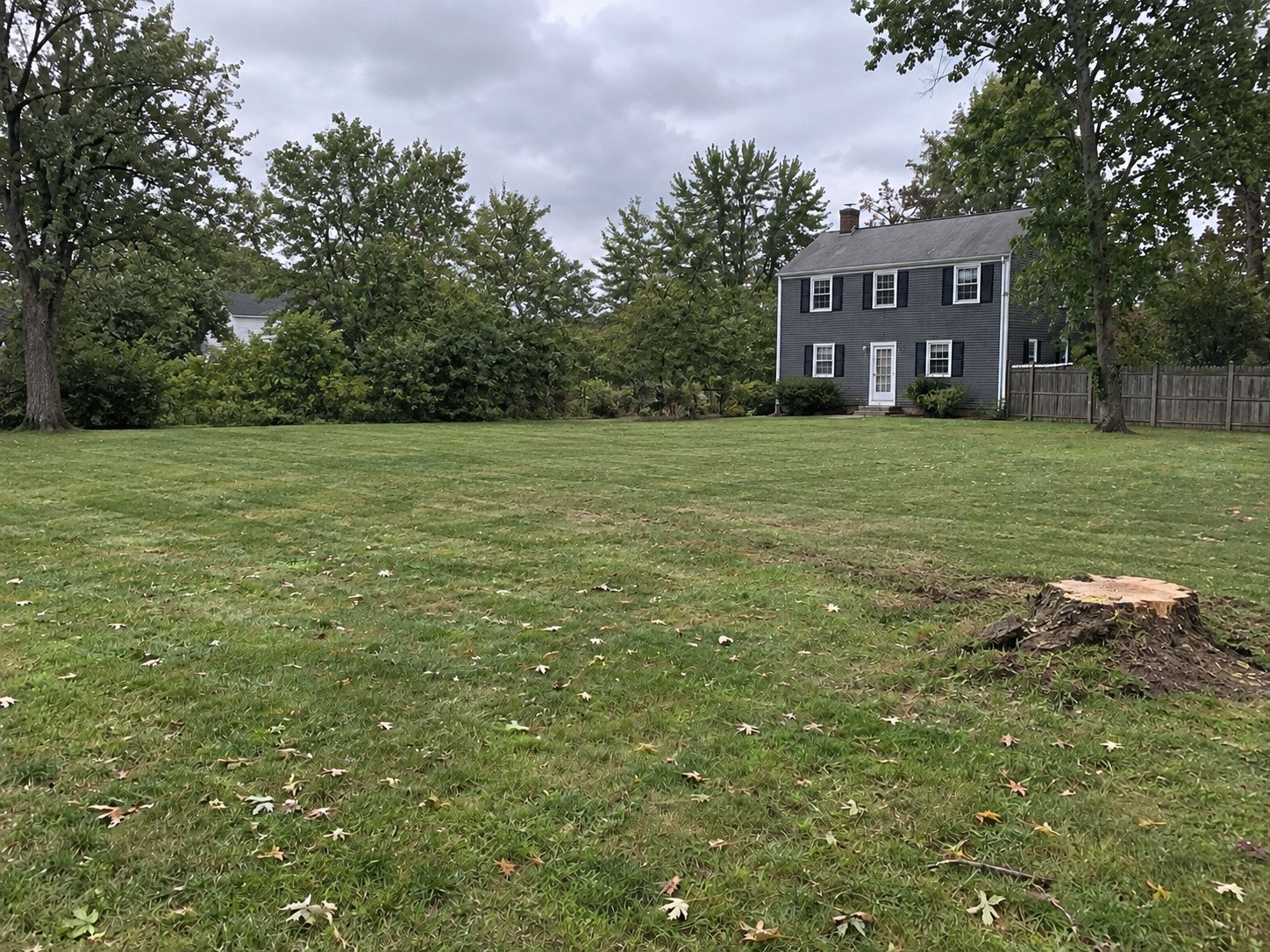 Lawn after removal of the large fallen tree, with a low cut stump and modest grass disturbance.