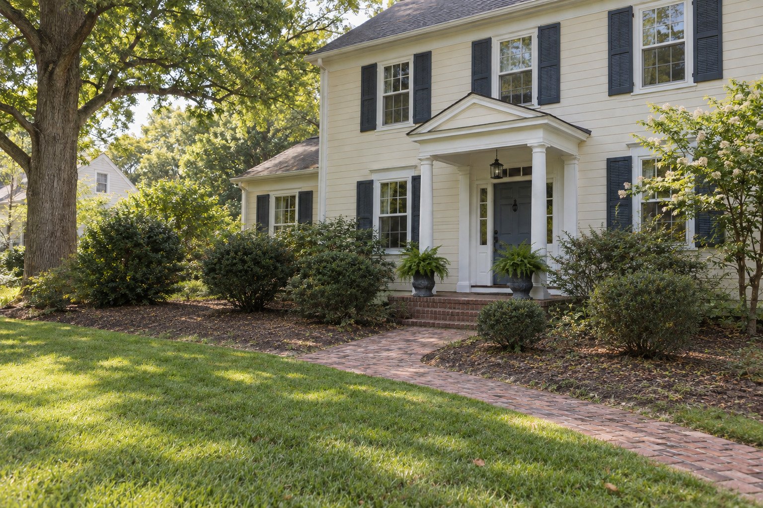 Before view of sparse, tired foundation shrubs at a cream colonial home with an established oak.