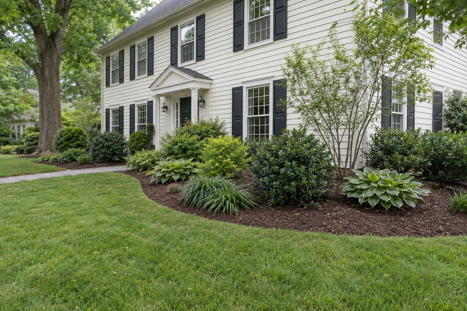Renewed curved foundation bed with natural brown mulch, crisp lawn edging, hostas and varied green foliage.