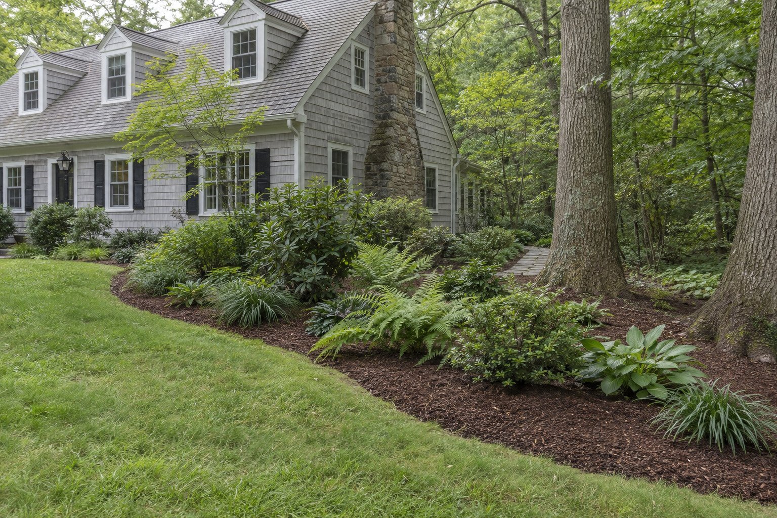 Renewed woodland-edge bed with brown mulch, a clean curved edge, ferns, sedges and retained mature shade trees.