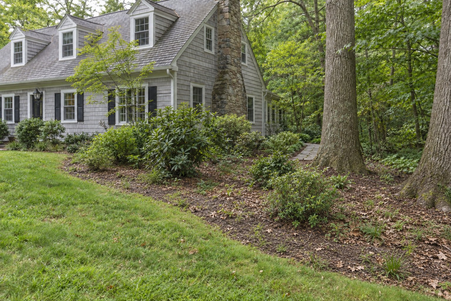 Before view of a sparse woodland-edge garden with weathered mulch, leaf litter and grass encroachment beside a gray Cape Cod home.