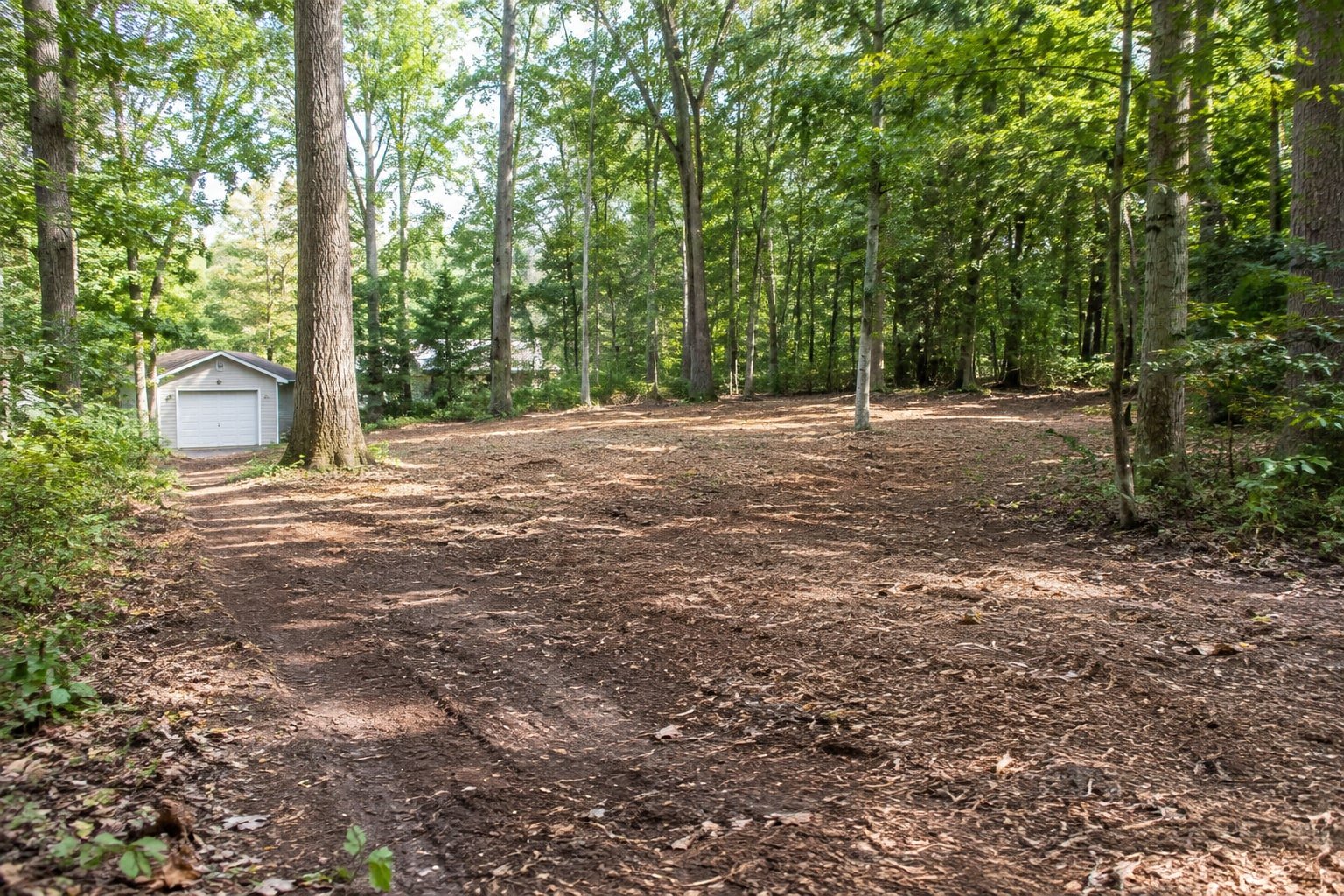 Selectively cleared wooded lot with bare soil between kept trees and a garage beyond.