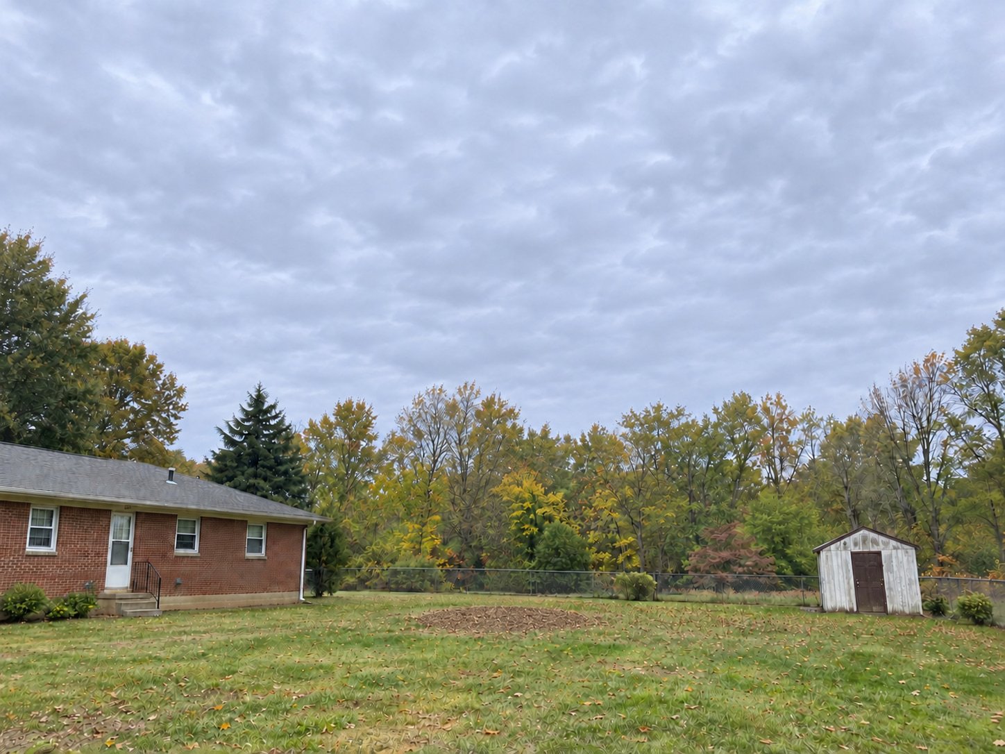 The same backyard after the mature maple was removed and the stump ground out, leaving a level soil-and-chip patch in the lawn.