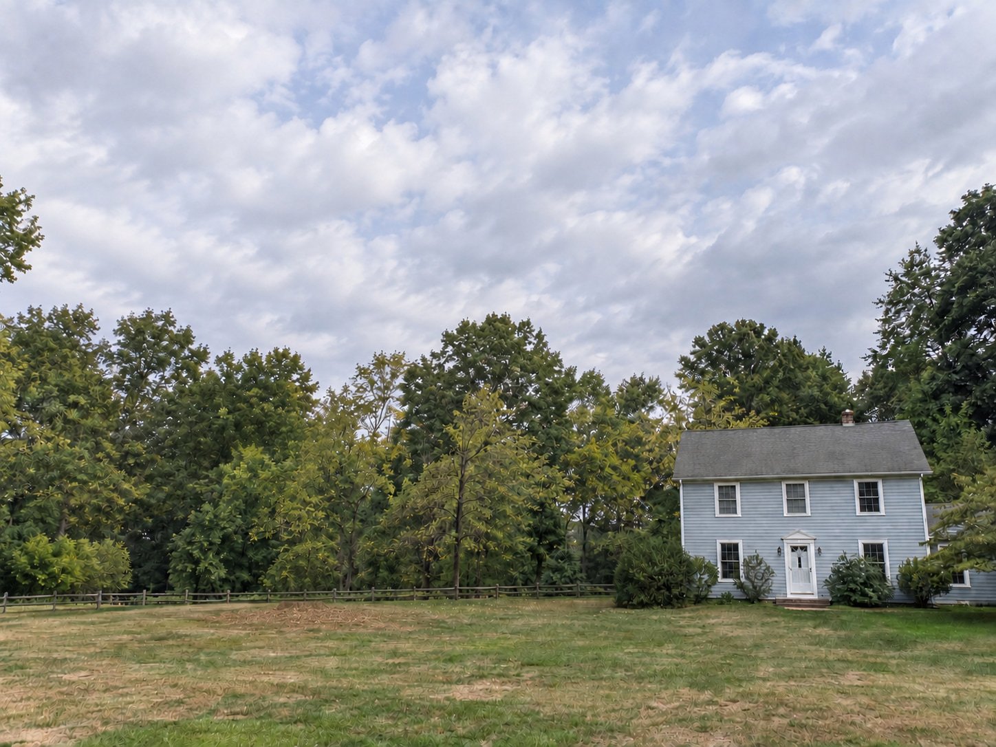 The same yard after the mature oak was removed and the stump ground out, leaving a level soil-and-chip patch beside the house.