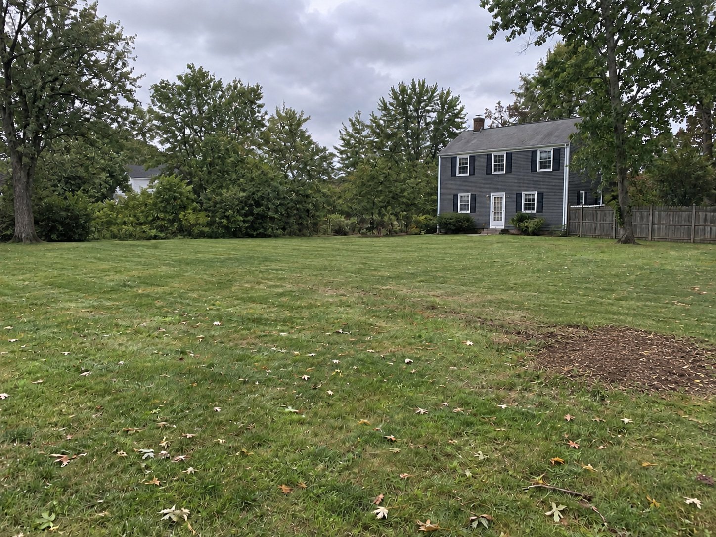 The same lawn after the storm-fallen tree was removed and the stump ground out, leaving a level patch of soil and fine chips.